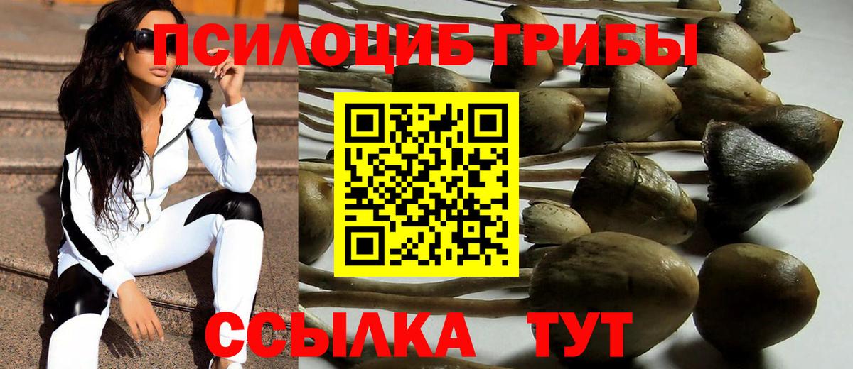 Рубцовск  Галлюциногенные грибы MAGIC MUSHROOMS  Вход с VPN  Галлюциногенные грибы прущие грибы 