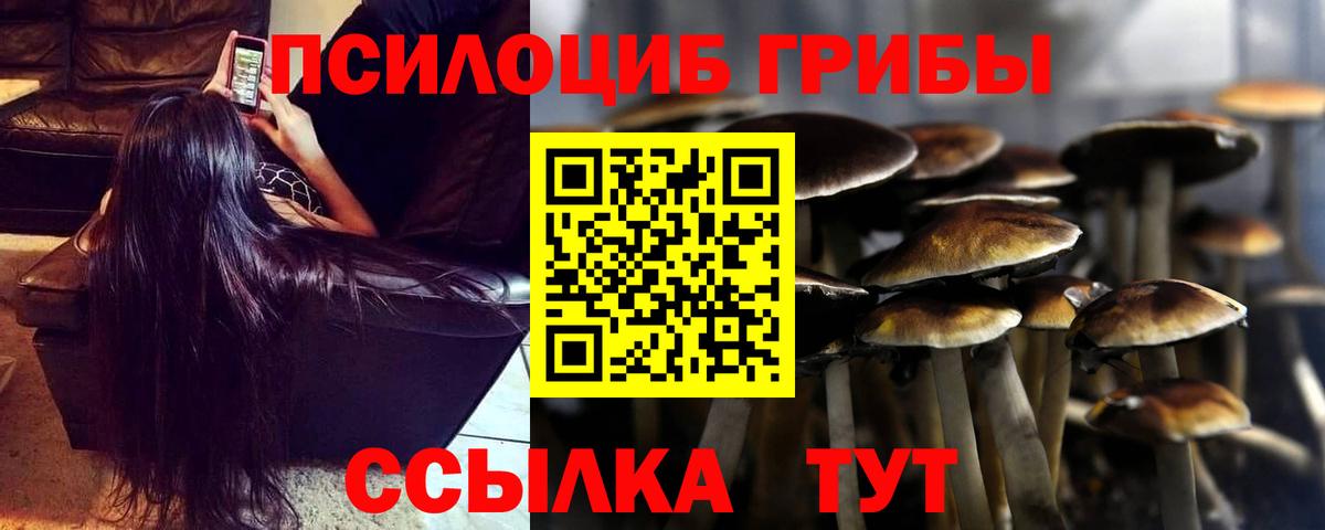 Галлюциногенные грибы Cubensis Рубцовск